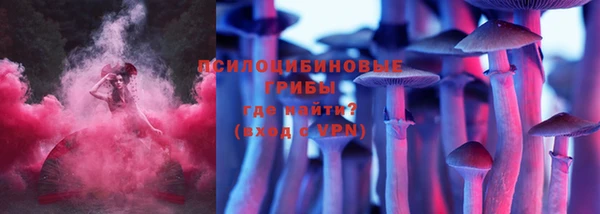марки nbome Инта