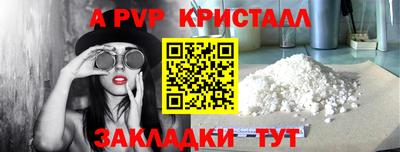 ешки Кингисепп