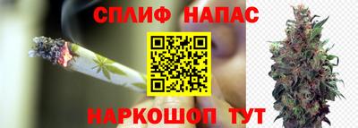ешки Кингисепп