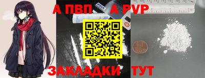 ешки Кингисепп
