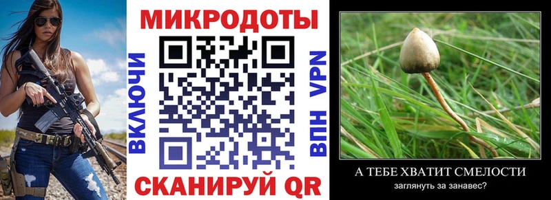 Псилоцибиновые грибы Magic Shrooms Ноябрьск