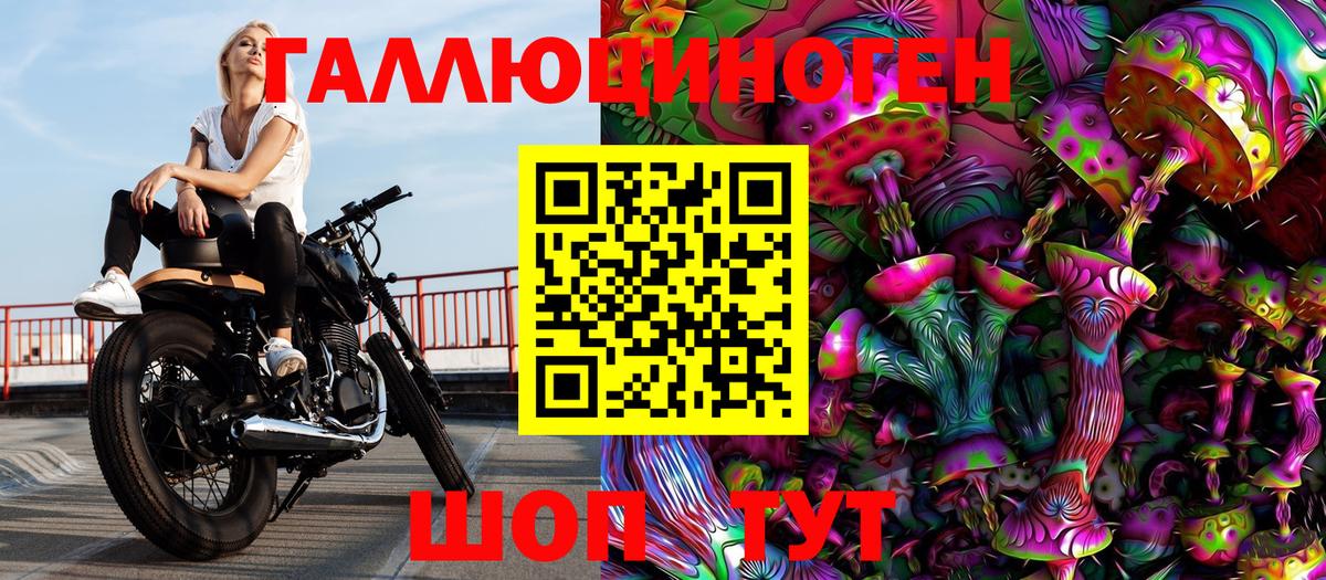 Псилоцибиновые грибы Cubensis Ноябрьск