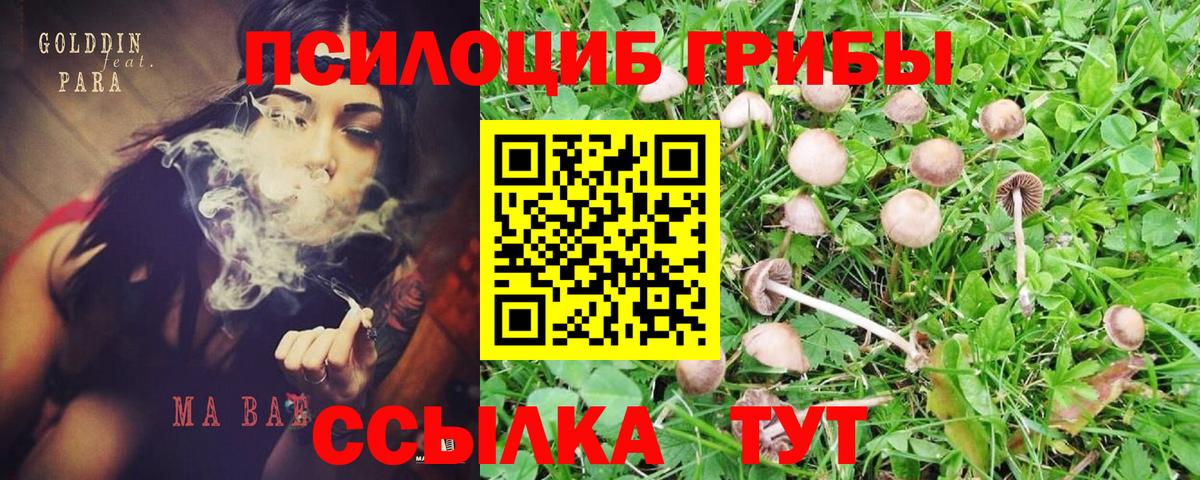 Псилоцибиновые грибы Magic Shrooms  Галлюциногенные грибы Magic Shrooms  Вход с VPN  Ноябрьск 